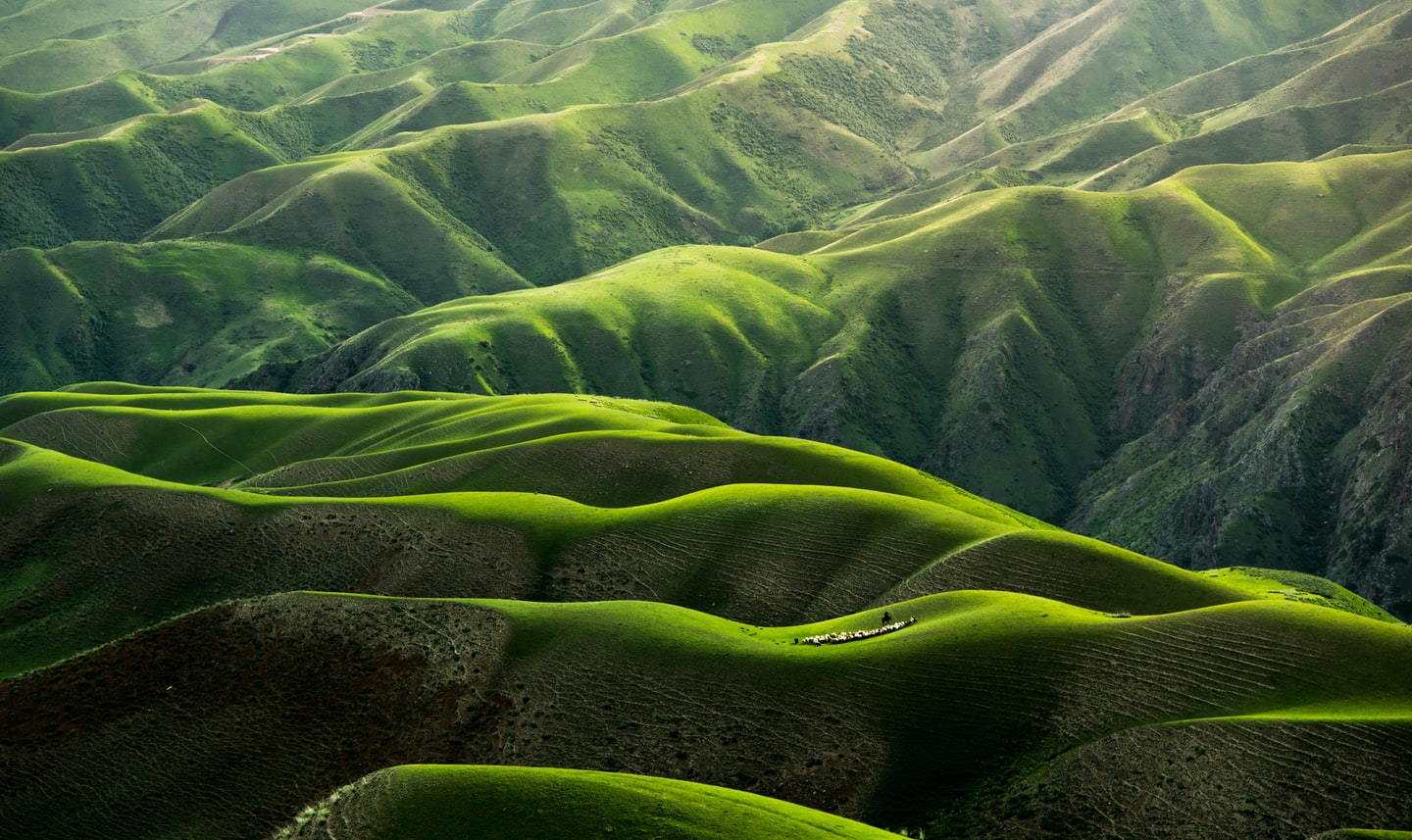 image nature